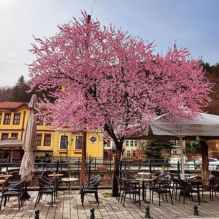 Center River Apartment Florina Buitenkant foto