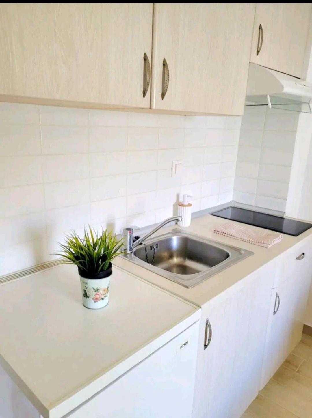 Center River Apartment Florina Buitenkant foto
