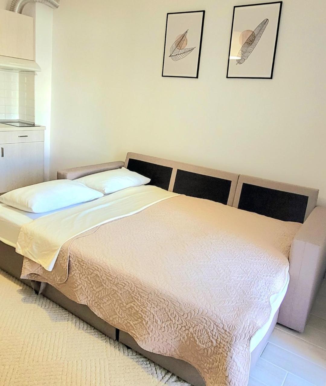 Center River Apartment Florina Buitenkant foto